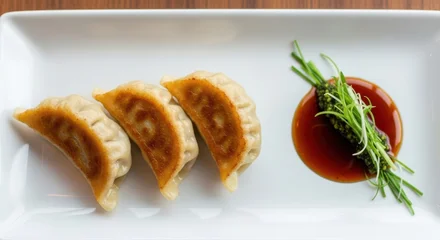 Three pan-fried gyoza dumplings with savory dipping sauce and herbs. © PNG Stock