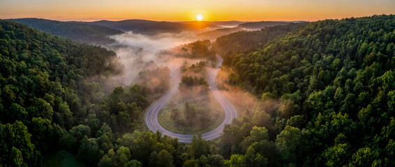 Winding road through misty forest at sunrise