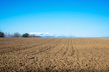 uncultivated fields with beautiful blue sky