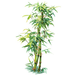 Naklejka premium Isometric-style watercolor depiction of Bamboo, set against a white background.
