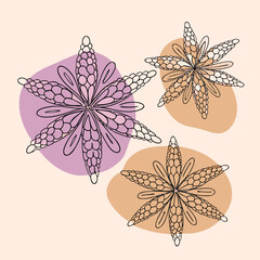 set of vector flowers