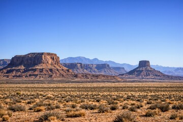 Panoramic view of the expansive desert landscape with iconic mesa formations and arid plains under a clear blue sky