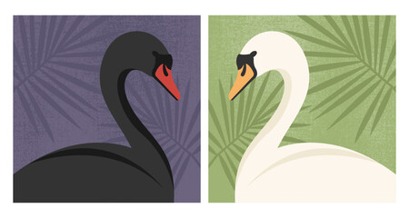 Beautiful black and white swan portraits on grunge background decorated with leaves. Vector illustration