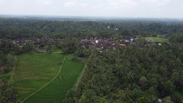 Aerial view by Done, advancing towards the village of Tabanan in Bali, Indonesia