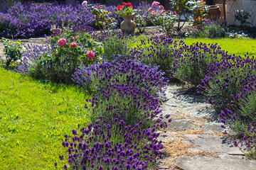 rustical garden - stone paved garden path and flowers - summertime