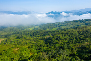 Naklejka premium Soft white fog drifts above rolling green hills and dense forest in Dien Bien, Vietnam. Clear blue sky and bright sunlight create a fresh, tranquil atmosphere across the lush landscape.