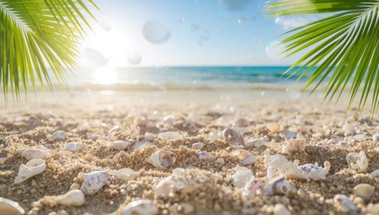 Shells Scatter on Sandy Beach With Palm Leaves and Sun Setting Over Calm Ocean Water