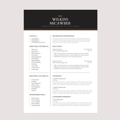 Creative Designer Resume with Branding Experience