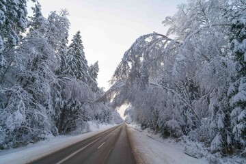 road in winter © talavietis