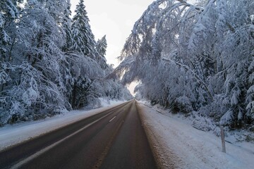 road in winter © talavietis