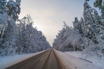 road in winter © talavietis