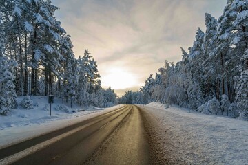 road in winter © talavietis