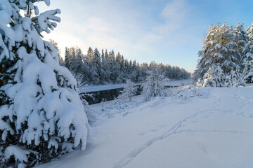 snow covered trees in winter © talavietis