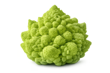Romanesco broccoli fractal with transparent background closeup shot