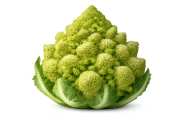 Romanesco broccoli fractal on transparent background detailed green food
