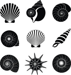 Set of black and white seashell vector silhouettes featuring scallop shells, nautilus, spiral snail shells, and spiked sea mollusks for nautical summer beach designs. © MdGohurul