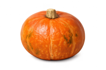 Orange pumpkin isolated on transparent background, autumn harvest time.