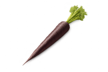 Purple carrot with green leaves on a transparent background studio shot