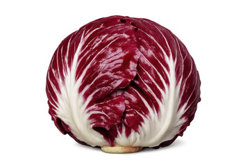 Fototapeta premium Radicchio head on a transparent background, vibrant and healthy food.