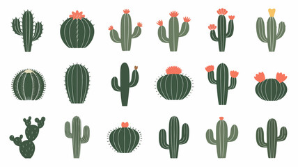 Collection of various cactus illustrations in different shapes and sizes with flowers on top
