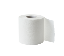 White embossed toilet paper roll with decorative pattern isolated transparent background