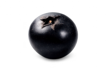 Isolated Aronia melanocarpa berry with transparent background element