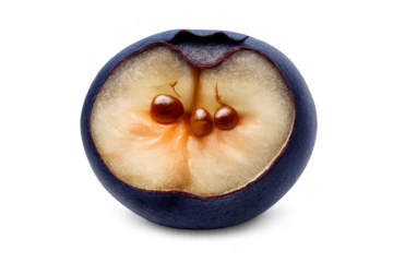 Cut Blueberry with Seeds on a transparent background for design work.