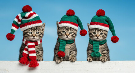 Three cute tabby kittens wearing festive knitted Christmas elf hats and scarves, looking over a white ledge against a blue background.