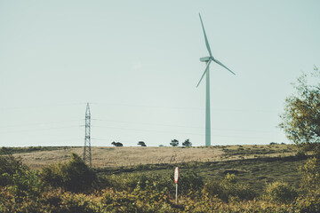 Single wind turbine on grassy hillside with power line pylon and shrubs under pale sky, renewable clean energy concept, rural countryside landscape with copy space