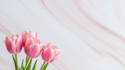 Beautiful pink tulips on white marble background