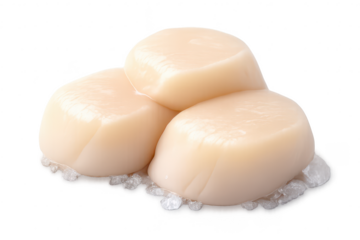 Three scallops presentation on transparent background for designers