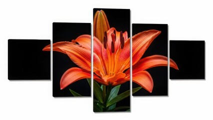 Vibrant orange lily flower artwork on white background