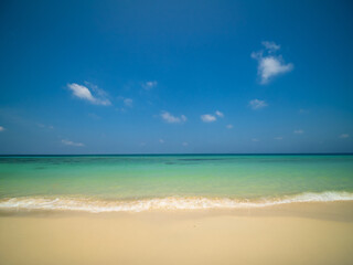 Fototapeta premium Peaceful tropical panorama sea beach with gentle waves rolling onto golden sand under bright blue sky with fluffy white clouds. relaxing summer scene perfect scene for travel holliday and nature lover