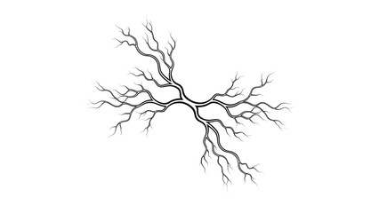 Abstract branching pattern of thick, flowing lines extending to delicate, fine tendrils