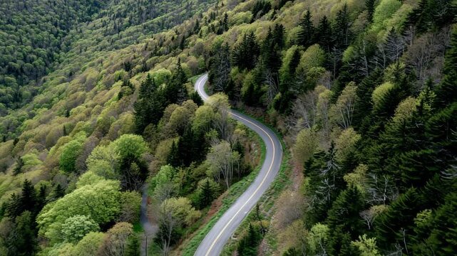 4K Aerial view of winding mountain road cutting through lush green forest landscape in spring or summer video