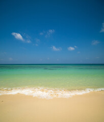 Peaceful vertical tropical sea beach with gentle waves rolling onto golden sand under bright blue sky with fluffy white clouds. relaxing summer scene perfect scene for travel holliday and nature lover