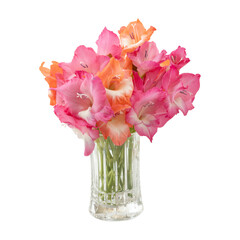 Bouquet of gladiolus flowers in glass vase isolated on transparent background