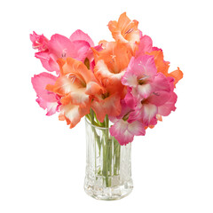 Bouquet of gladiolus flowers in glass vase isolated on transparent background