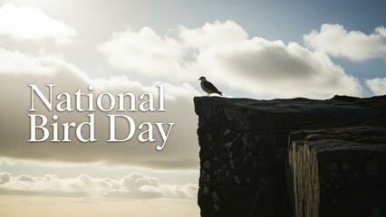 Bird perched on a rocky cliff under a cloudy sky on National Bird Day