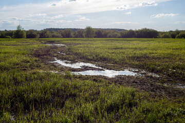 Wet meadow after the spring flood. The spring flood flooded the field. Flood water in fields, countryside.