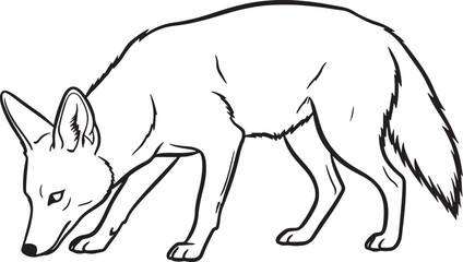 Fototapeta premium A detailed black and white line drawing of a fox in a hunting pose