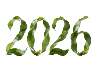 3D bold numerals 2026, isolated on white background, high-resolution, modern 3D typography, clean and minimal design