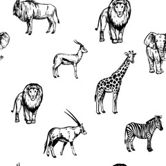 African animals, seamless pattern, safari, vector illustration set, hand-drawn sketches, lion, elephant, giraffe, antelope