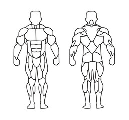 Human Muscle Anatomy Diagram Front and Back View Icon Set