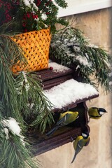 Winter bird feeder with Christmas decoration