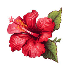 Vibrant Hibiscus Red Blossom and Leaf