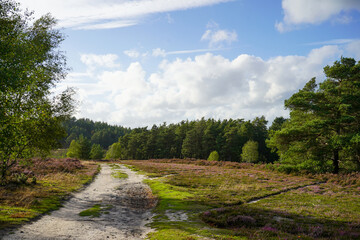 Path in the middle of countryside 