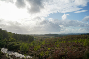 Path in the middle of countryside 