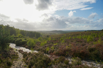 Path in the middle of countryside 