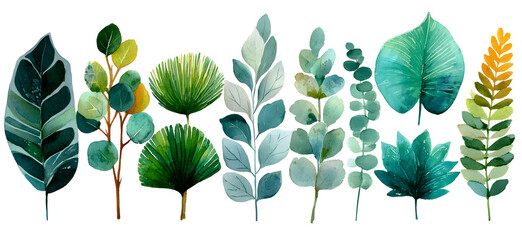 Set watercolor herbal elements. collection garden leaves, branches, Botanic illustration isolated on white background.